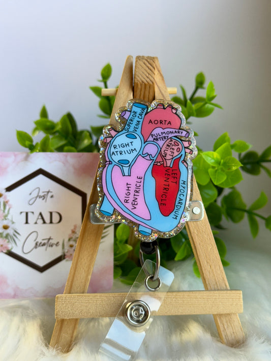 Labeled Anatomical Heart Interchangeable Badge Topper